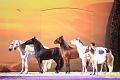 2015-01-17 21-54-20 (2)b